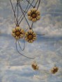 /album/galleria-foto-laboratorio/img-1800-jpg/
